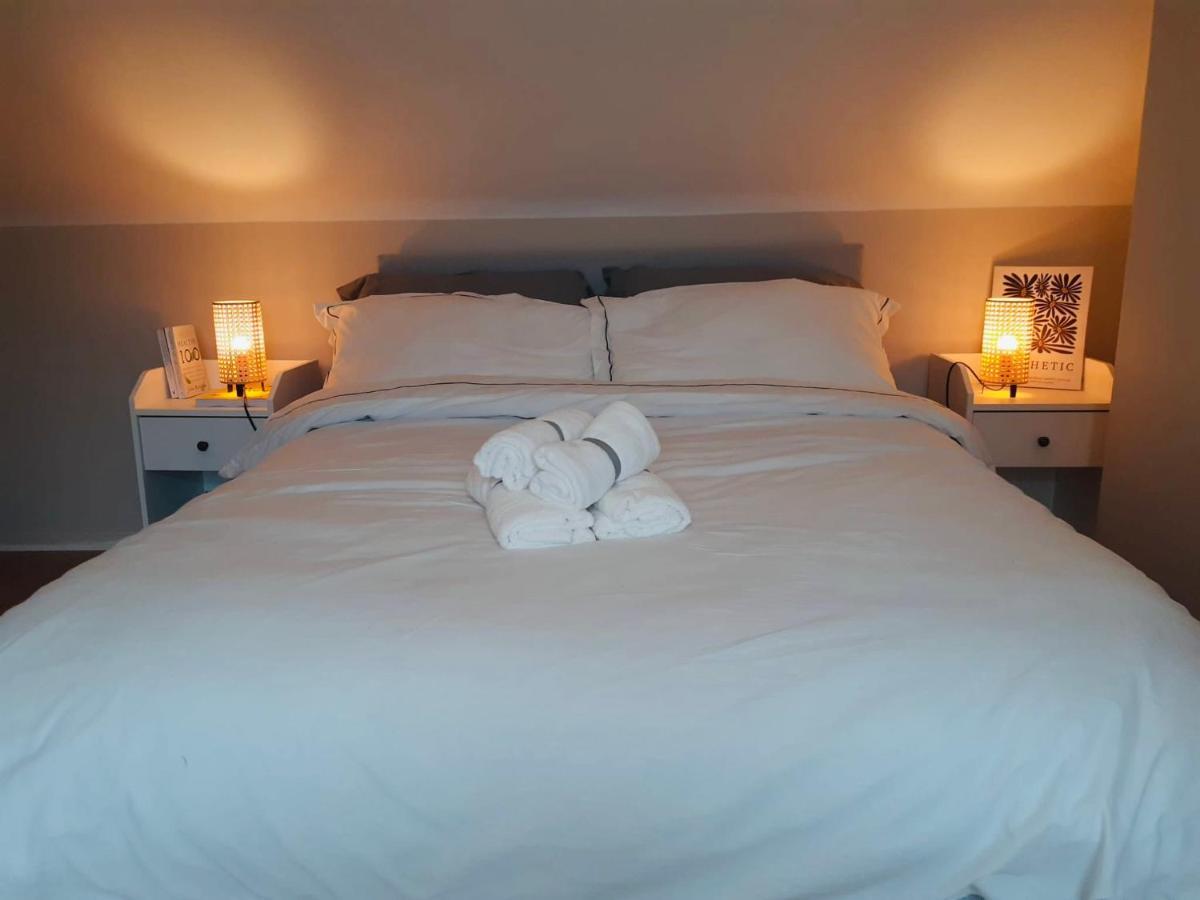 J&S Downtown Sky Attic House Apartment Белфаст Екстериор снимка